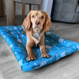 Ice Paws Cooling Bed Large 68x91cm