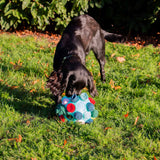 Ancol Orva Interactive Snuffle Ball