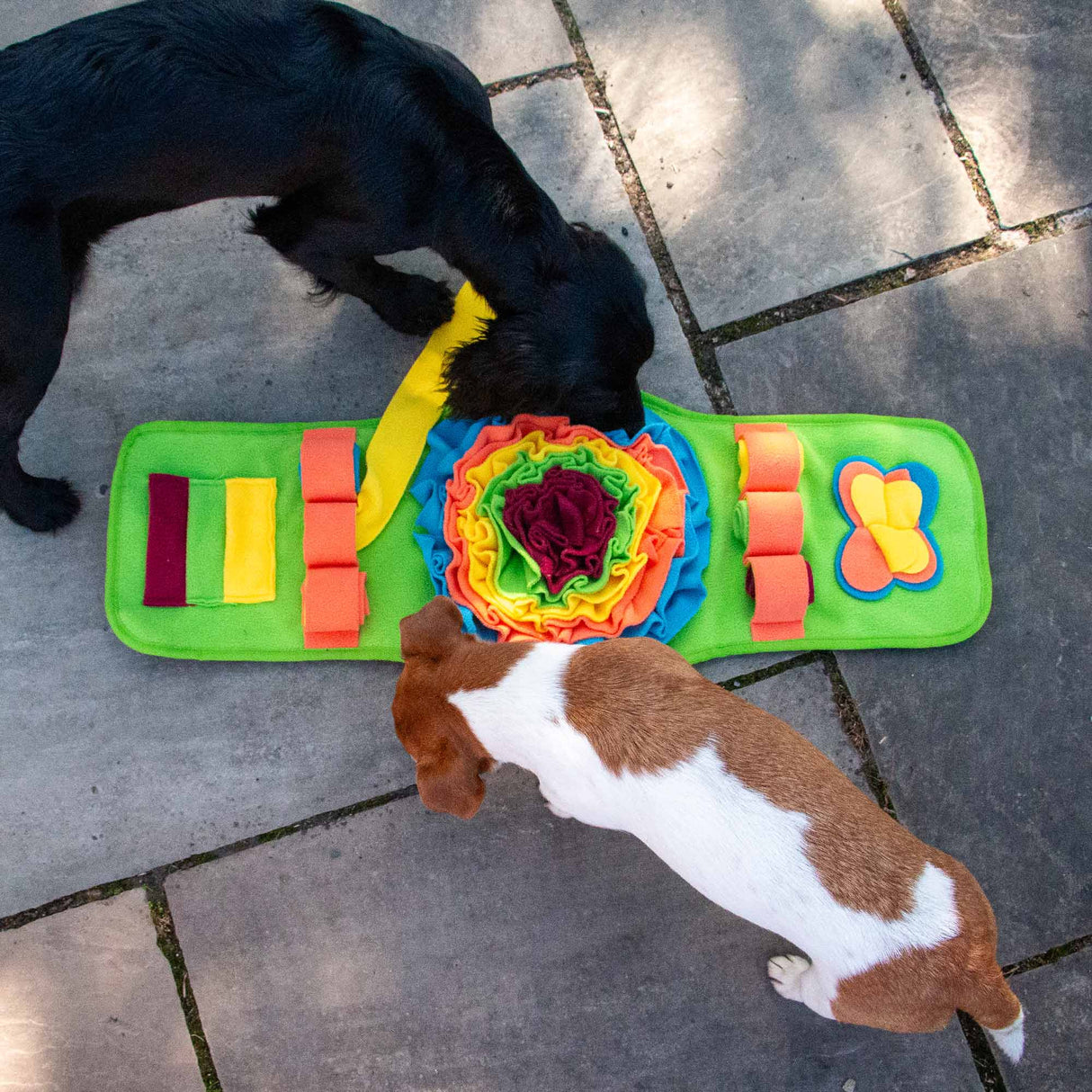 Ancol Orva Snuffle Strip