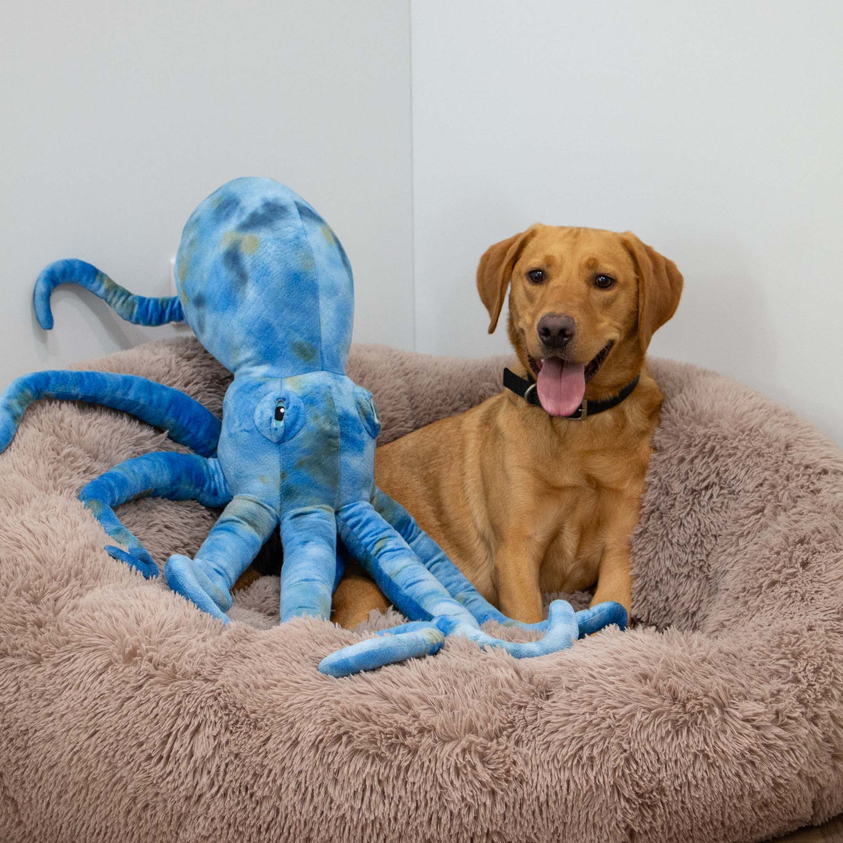 Ancol Playtime Cuddle Phil The Kraken Giant (106cm)