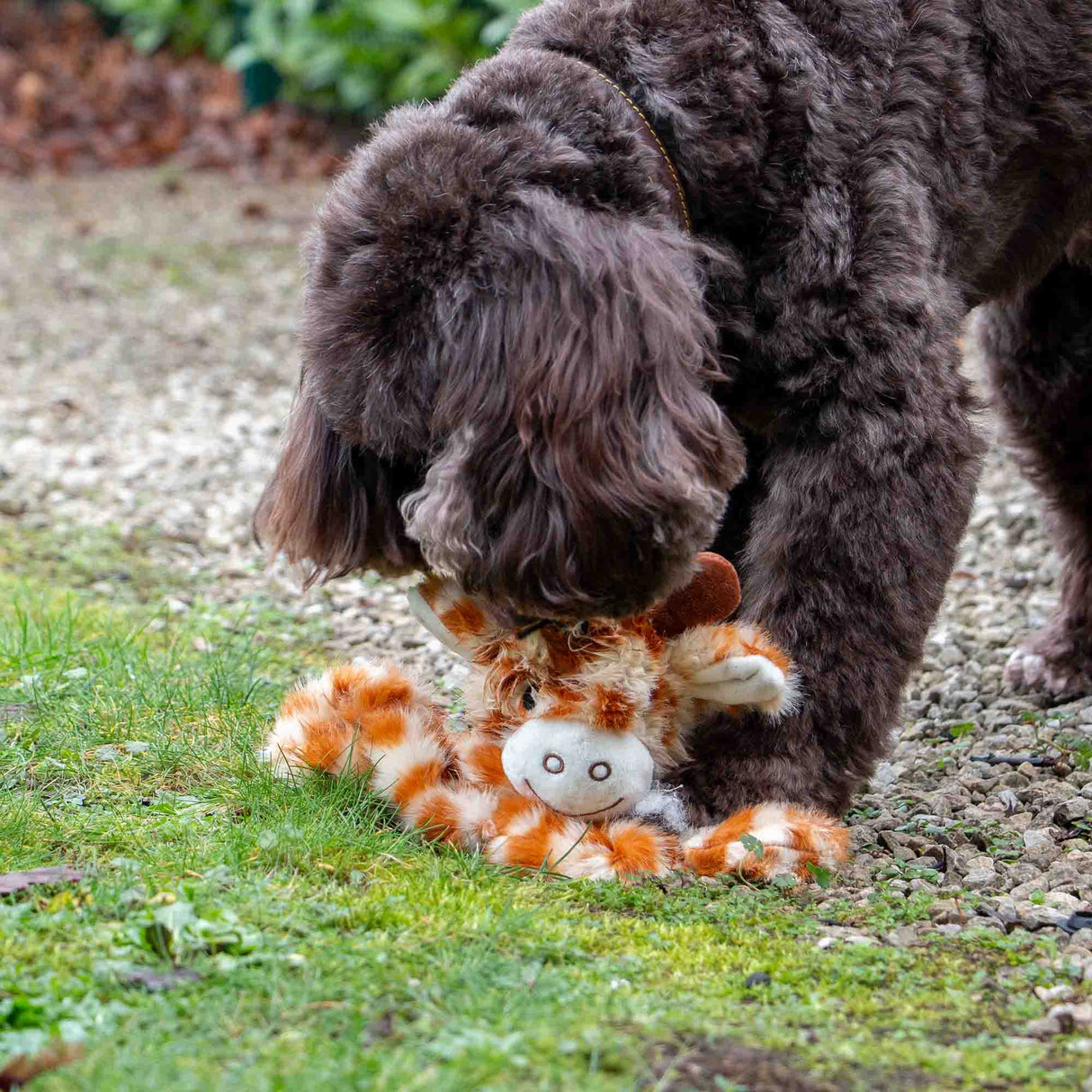 Ancol Playtime Cuddle Giraffe Floppet