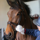 Carr Day Martin Belvoir Tack Cleaner Step 1 Mitt