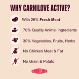Carnilove Dog - Active Salmon & Turkey Adult 12kg