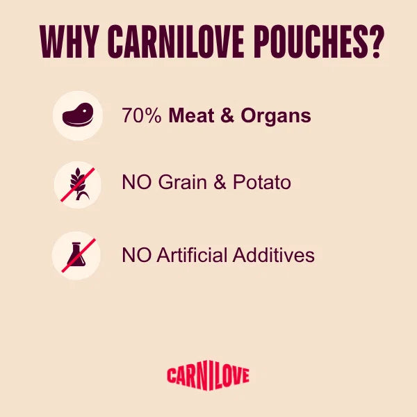 Carnilove Dog - Pouch Turkey & Pheasant with Raspberry Leaves 300g