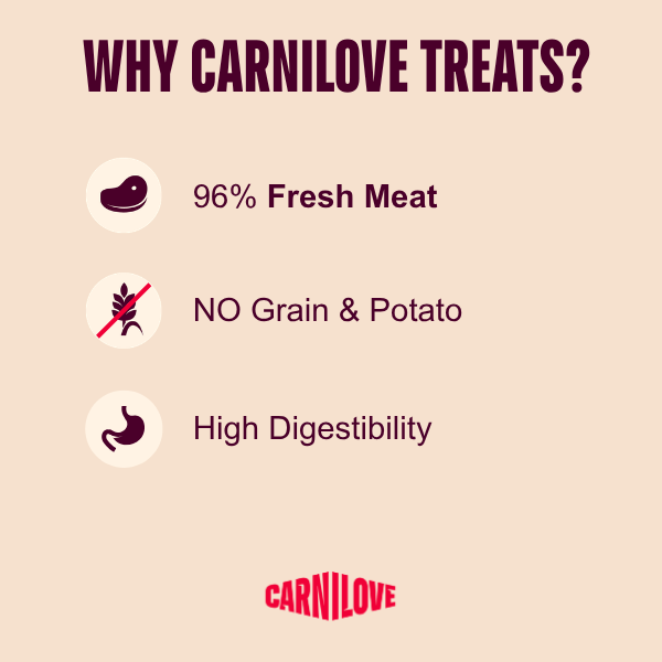 Carnilove Dog - Freeze Dried Raw Treats Turkey 60g