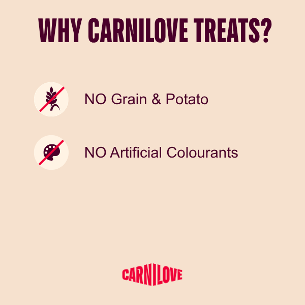 Carnilove Salmon Enriched With Thyme Soft Dog Treats 200g