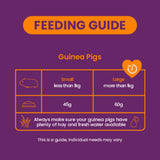 Burgess Guinea Pig - Excel Nuggets With Blackcurrant & Oregano 10kg