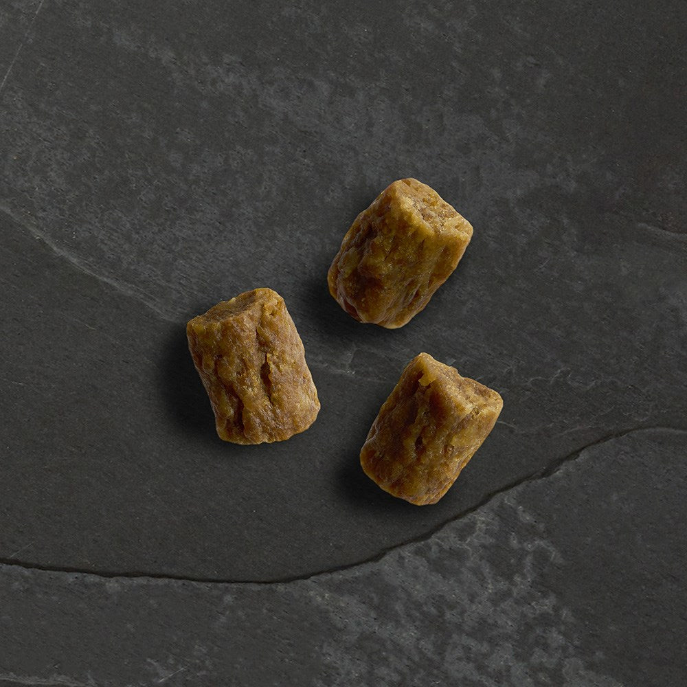 Canagan Dog - Wild Bites Beef & Pork 60g