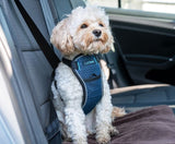 Company Of Animals CarSafe Crash Tested Harness Small