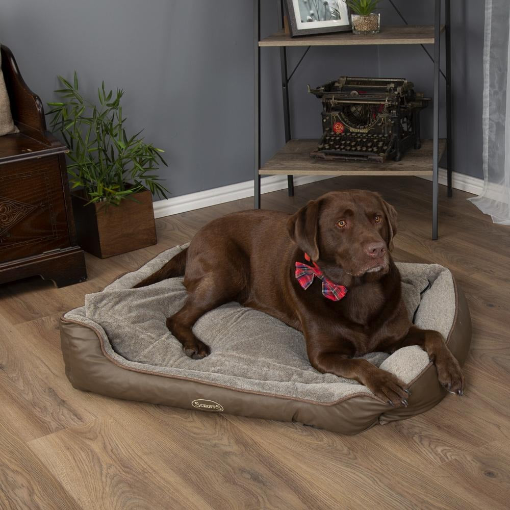 Scruffs Chateau Orthopaedic Box Bed Latte XL