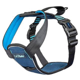 Company Of Animals CarSafe Crash Tested Harness Small