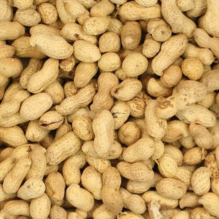 Copdock Mill Monkey Nuts 11.3kg