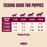 Carnilove Dog - Pouch Puppy Turkey & Salmon with Blueberries 300g