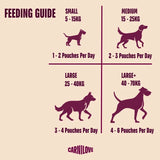 Carnilove Dog - Pouch Turkey & Wild Boar with Rosehips 300g