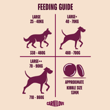 Carnilove Dog - Active Salmon & Turkey Large Breed Adult 12kg