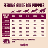 Carnilove Dog - True Fresh Duck Puppy 12kg