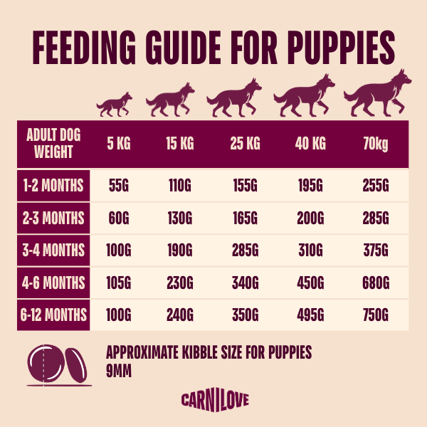 Carnilove Dog - True Fresh Duck Puppy 1.5kg