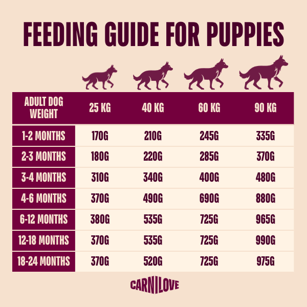 Carnilove Dog - True Fresh Duck Large Breed Junior 12kg