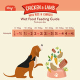 Nature Diet Dog - Chicken & Lamb 18x390g