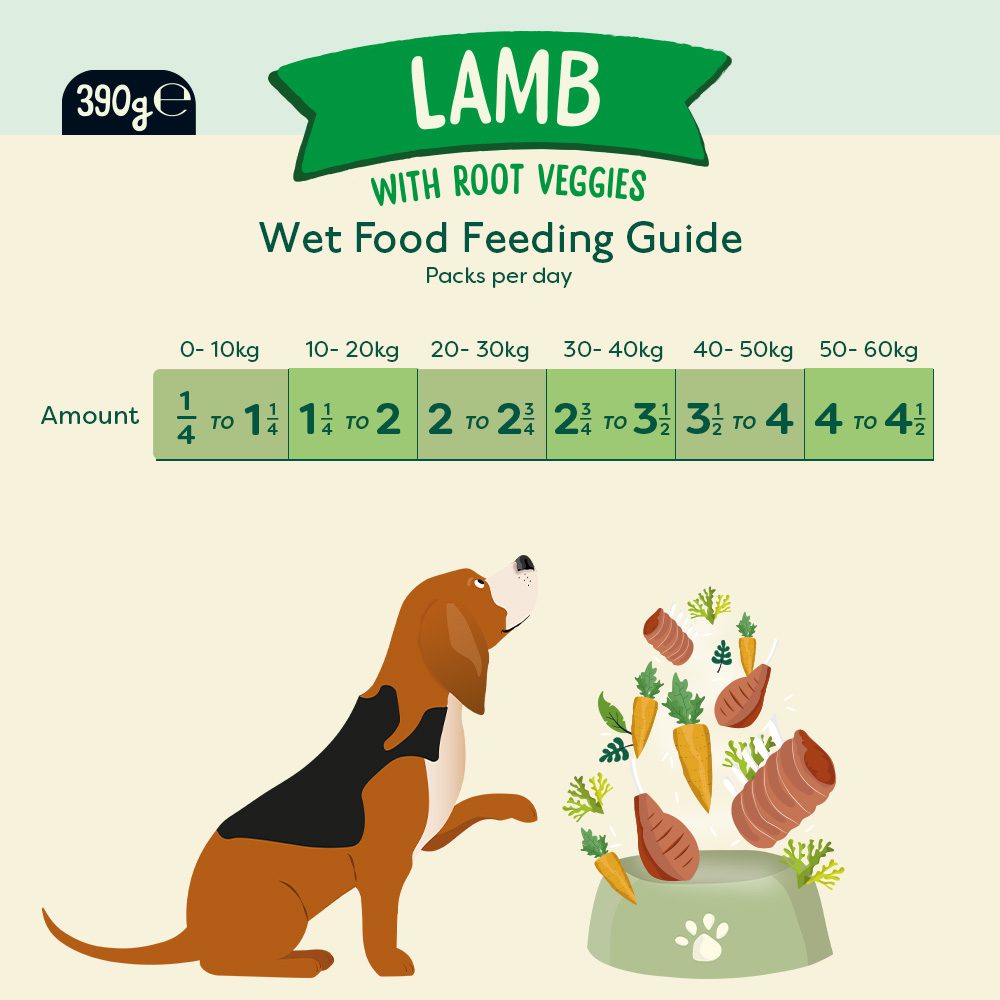 Nature Diet Dog - Lamb 18x390g