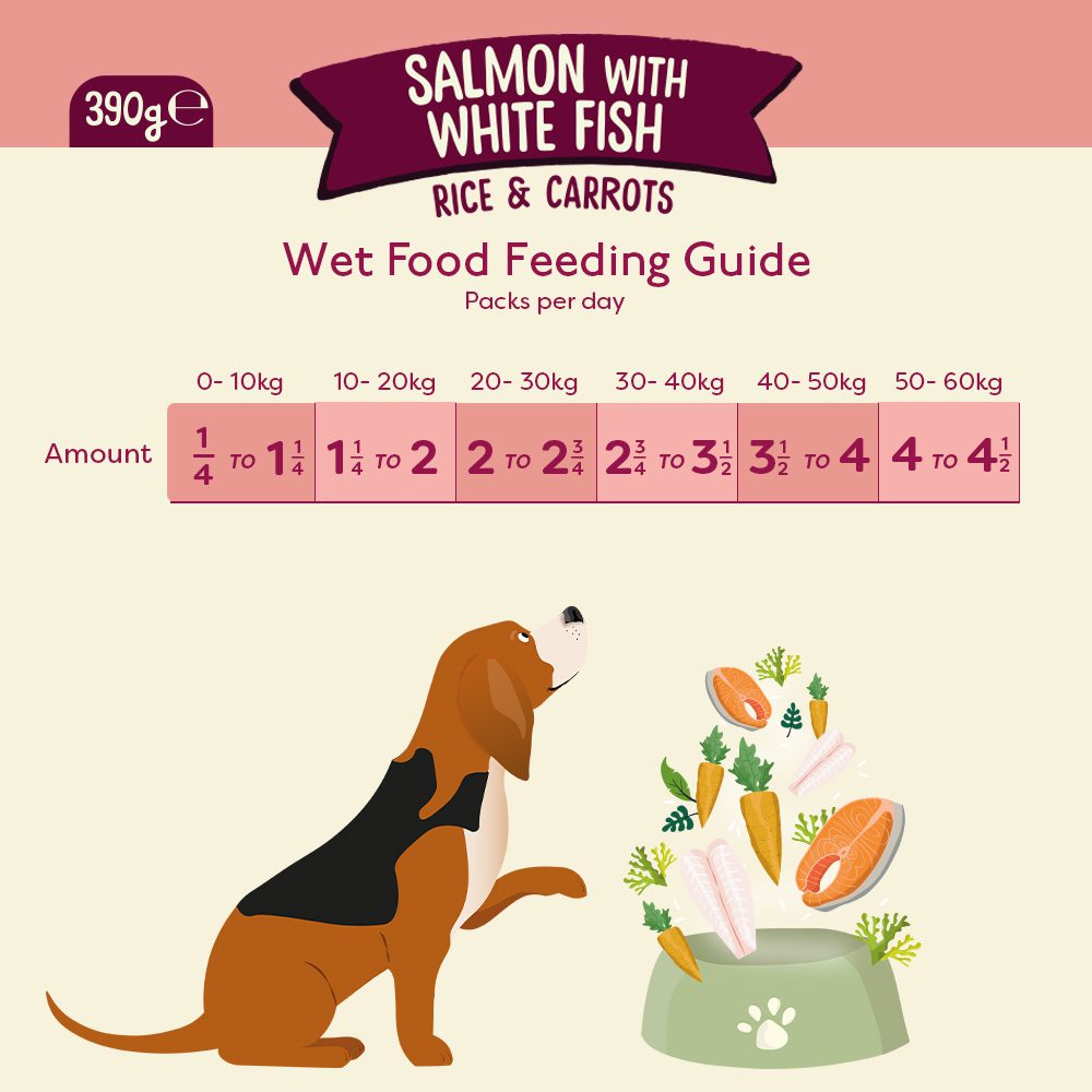 Nature Diet Dog - Salmon 18x390g