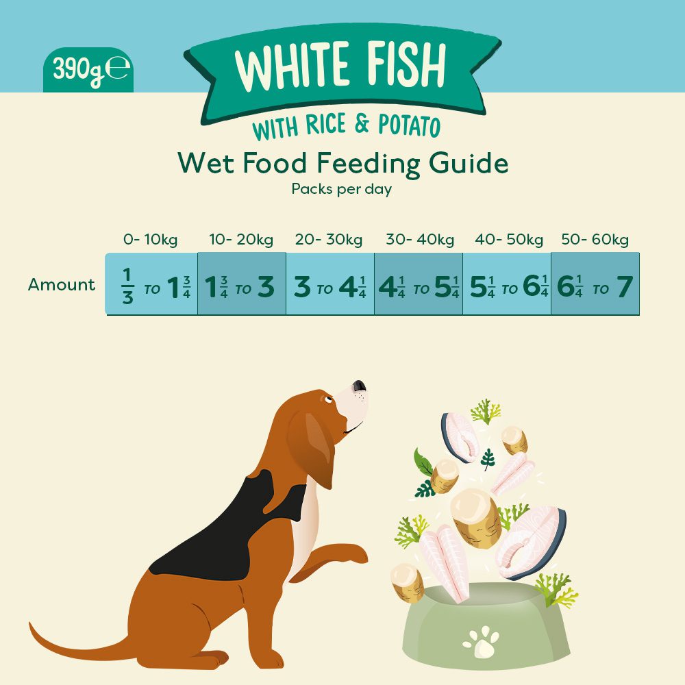 Nature Diet Dog - Fish & Rice 18x390g