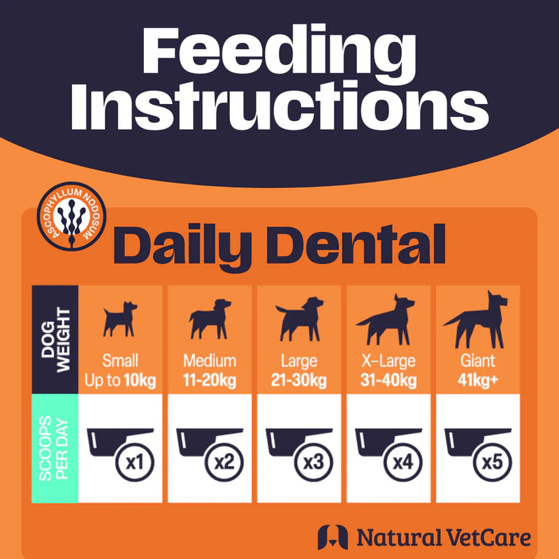 NAF NVC Dental Powder 200g