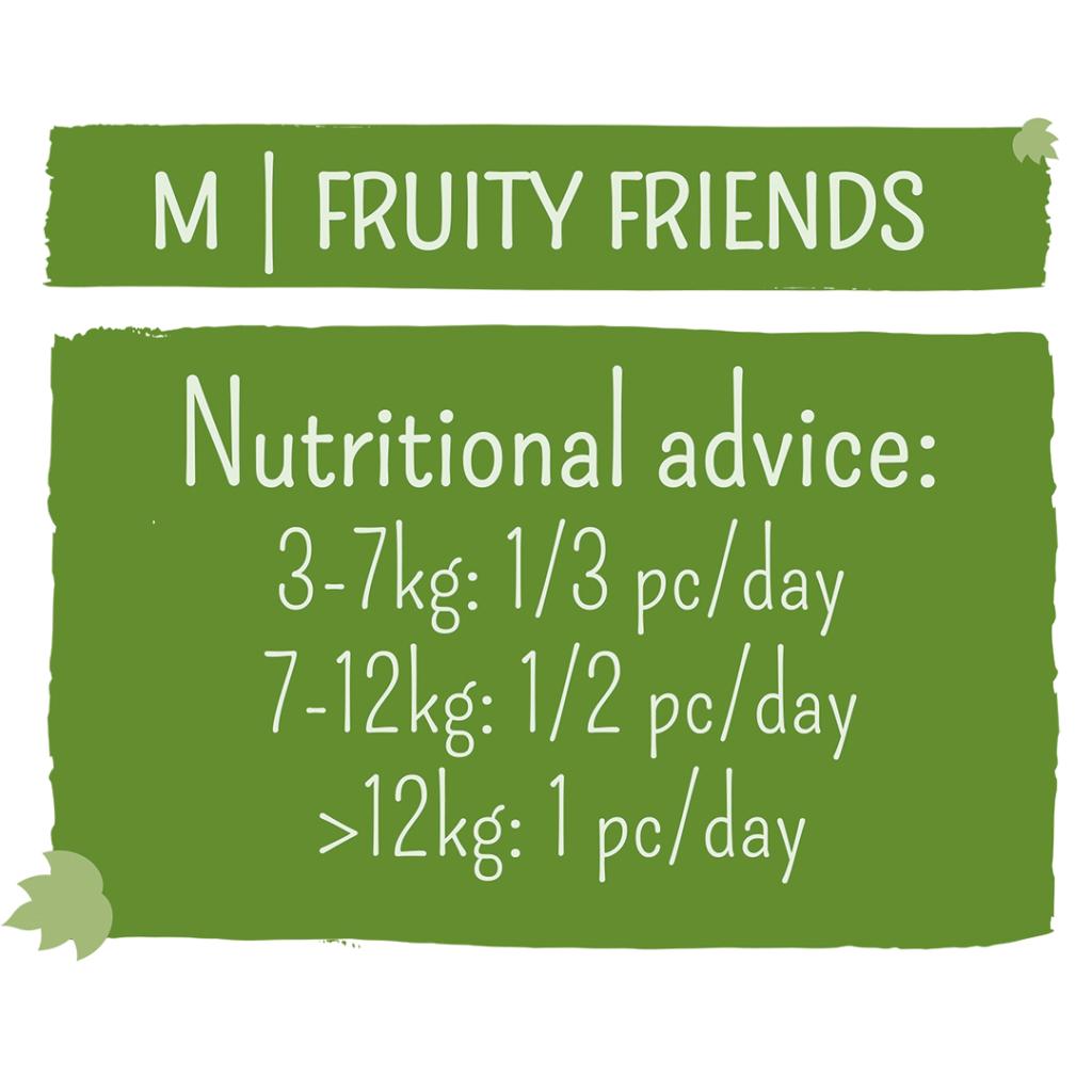 Garden Bites Fruity Friends Medium 6 Pack