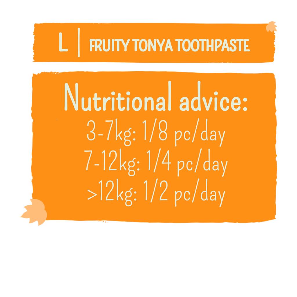 Garden Bites Fruity Tonya Toothpaste Large 3 pack