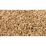 Gem Pigeon Malting Barley Mix 20kg