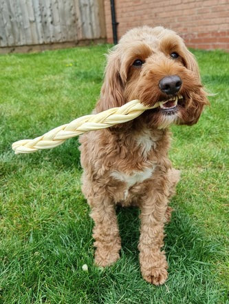 JR Pet Braided Lamb 30cm