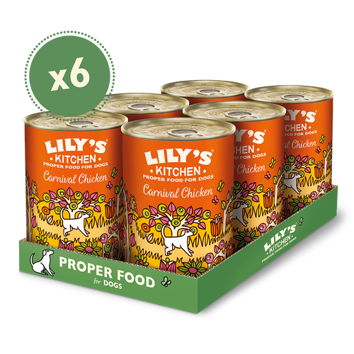 Lily's Kitchen Dog Tin Carnival Chicken 6x400g