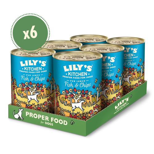 Lily's Kitchen Dog Tin Fish & Chips 6x400g