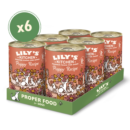 Lily's Kitchen Dog Tin Chicken Dinner for Puppies 6x400g