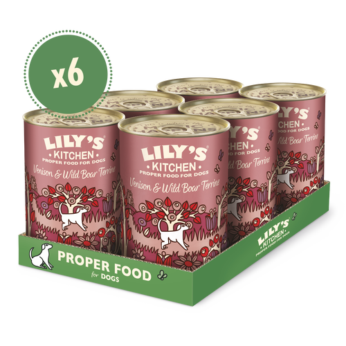 Lily's Kitchen Dog Tin Venison & Wild Boar Terrine 6x400g