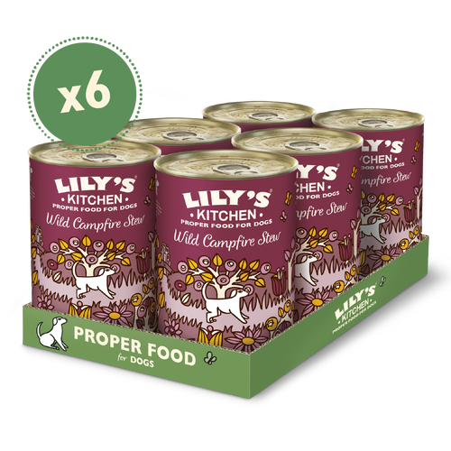 Lily's Kitchen Dog Tin Campfire Stew 6x400g