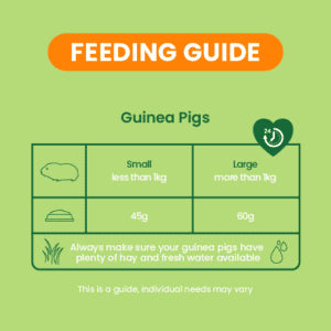 Burgess Guinea Pig - Excel Nuggets With Mint 10kg