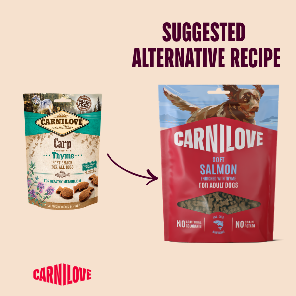 Carnilove Salmon Enriched With Thyme Soft Dog Treats 200g