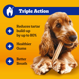 Pedigree Dentastix Large 42 Pack 25kg+
