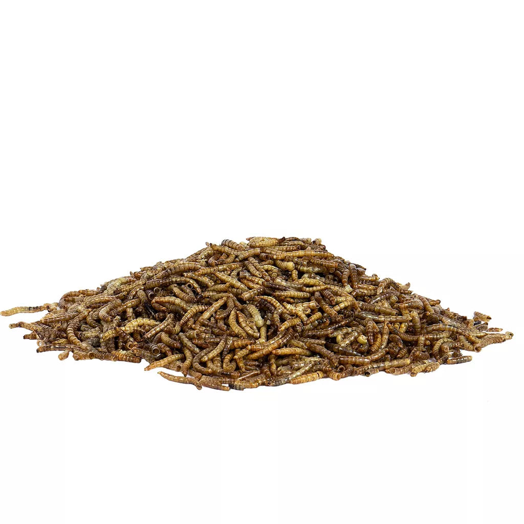 Gardman Mealworms 200g
