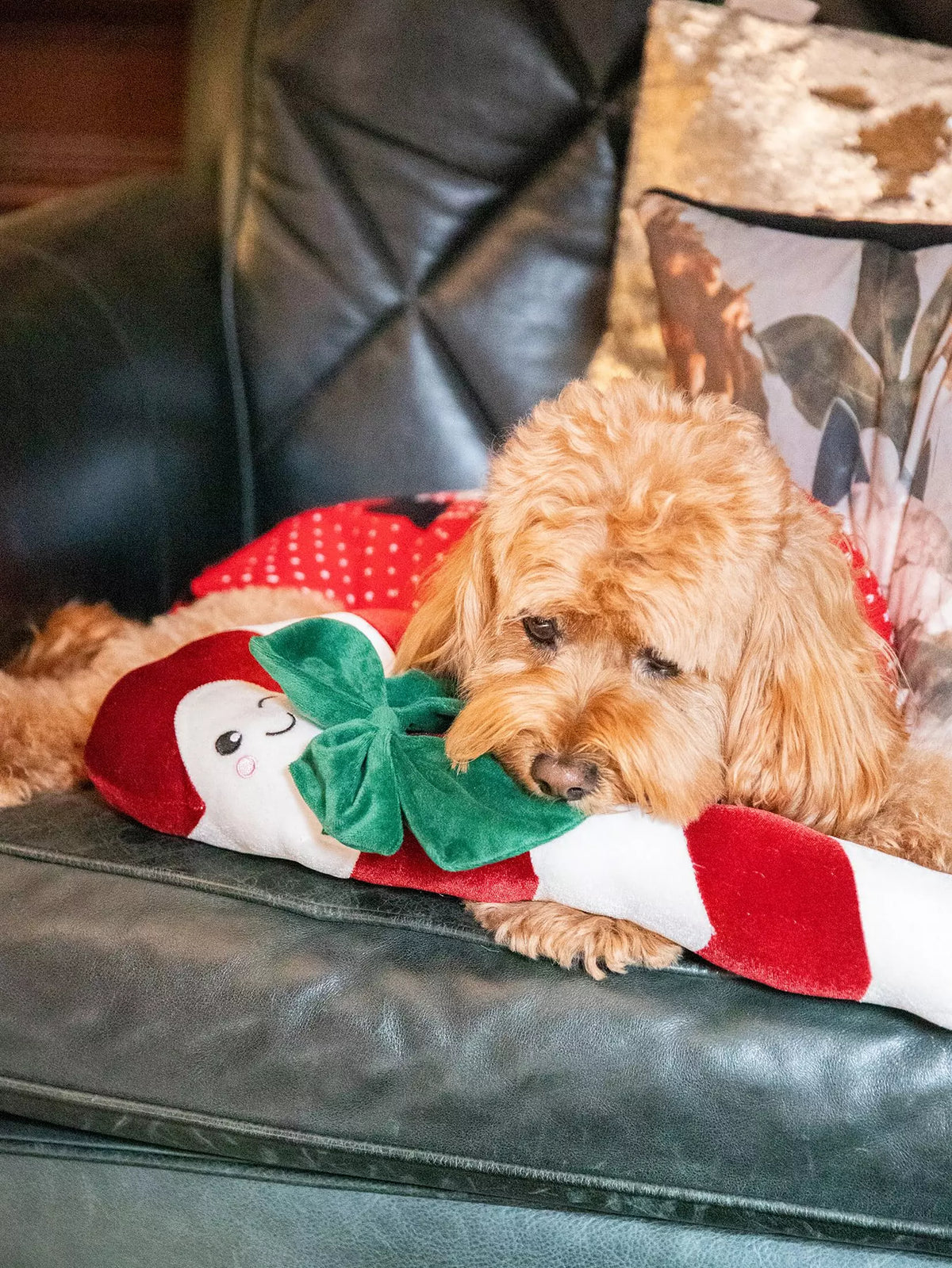 Rosewood Cupid & Comet Clarke Candy Cane