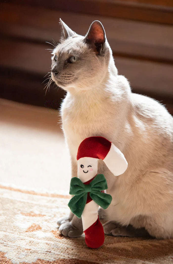 Rosewood Cupid & Comet Claude Candy Cane