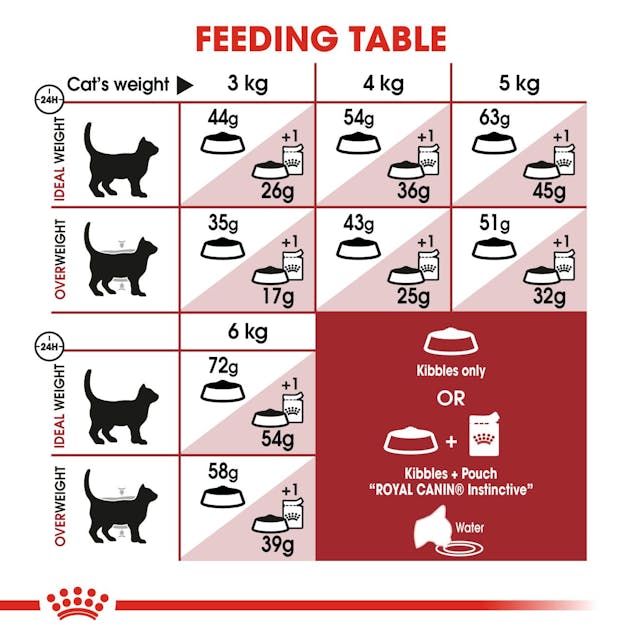 Royal Canin Cat - Fit 32 2kg