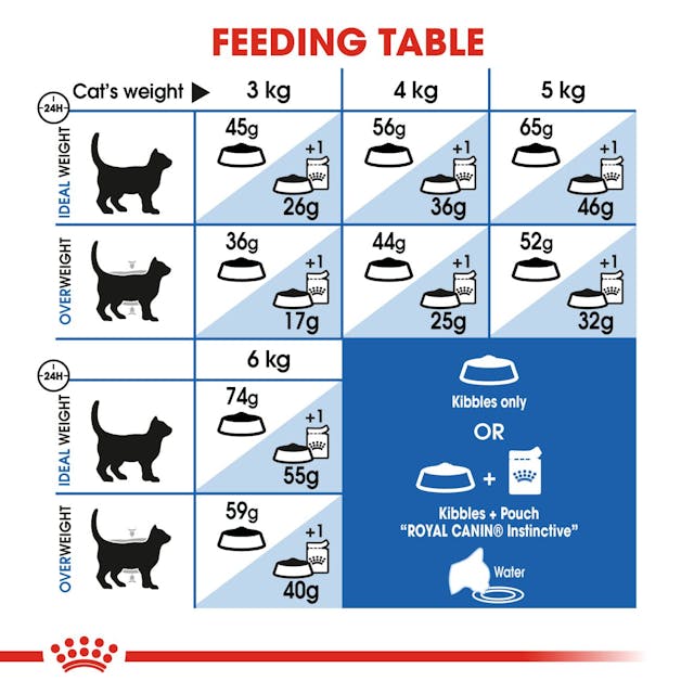 Royal Canin Cat - Indoor 27 2kg