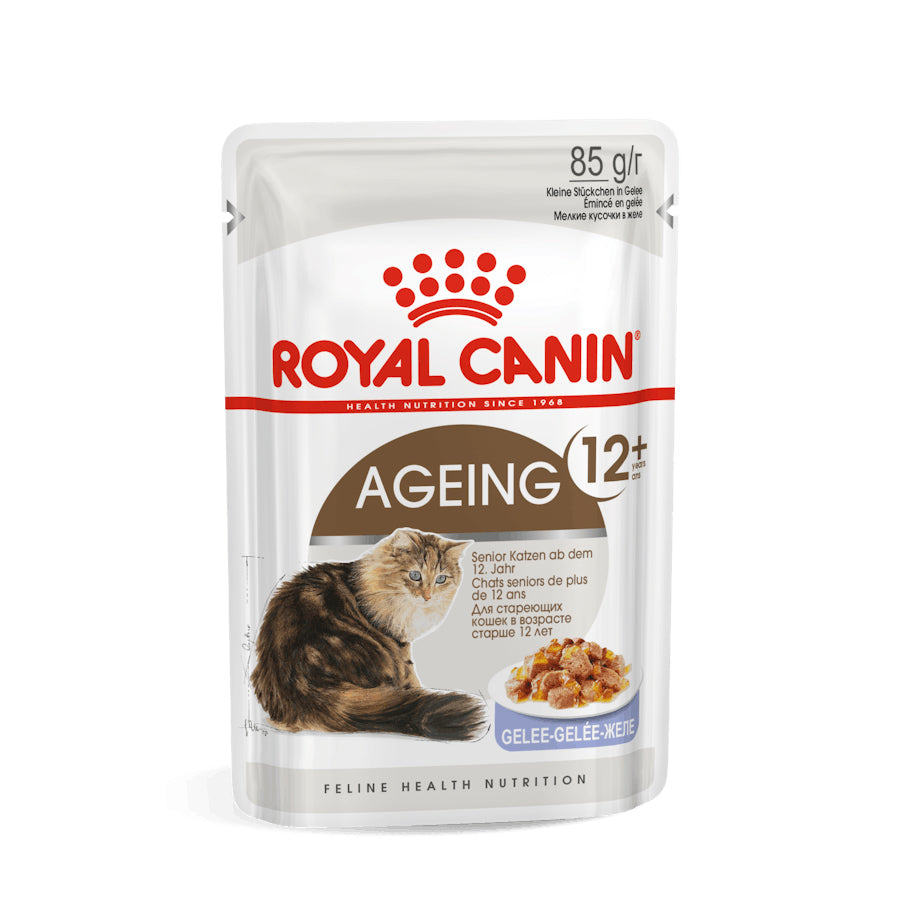 Royal Canin Cat - Pouch Box Ageing 12+ Jelly 12x85g