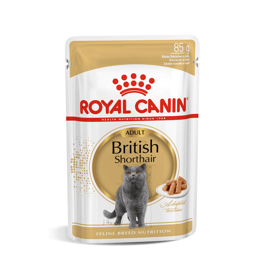 Royal Canin Cat - Pouch Box British Shorthair In Gravy 12x85g