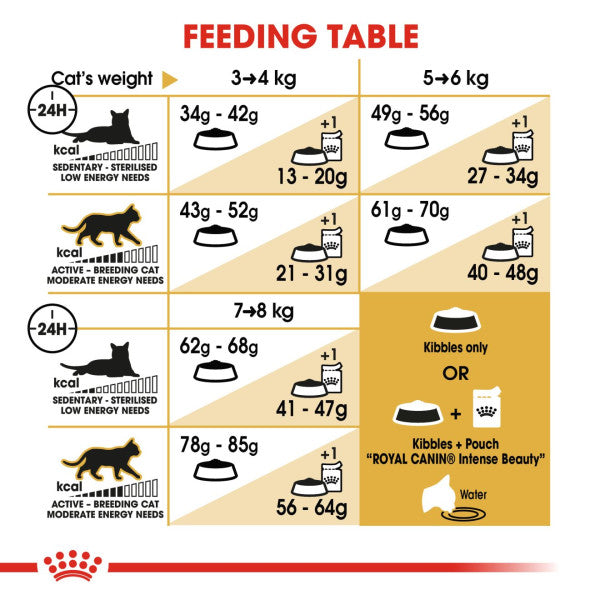 Royal Canin Cat - Ragdoll 400g