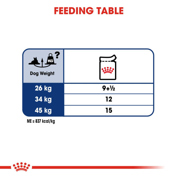 Royal Canin Dog - Pouch Box Maxi Ageing 10x140g