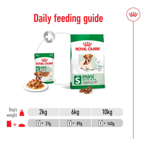 Royal Canin Dog - Pouch Box Mini Ageing 12+ 12x85g