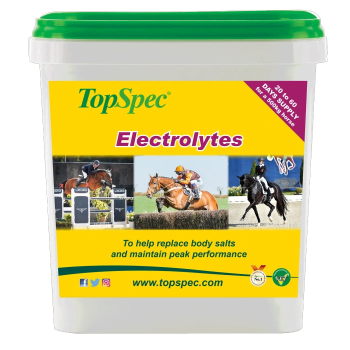 Topspec Electrolytes 3kg